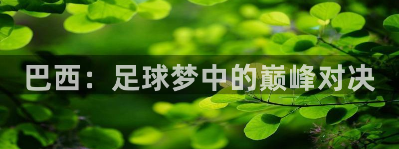 2026世界杯日期:巴西:足球梦中的巅峰对决