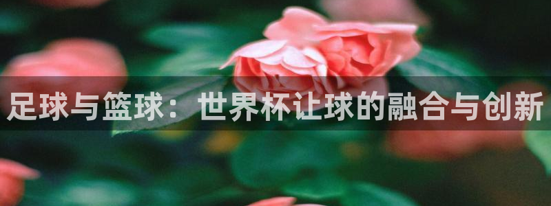 世界杯亚洲区预选赛积分榜:足球与篮球:世界杯让球的融合与创新