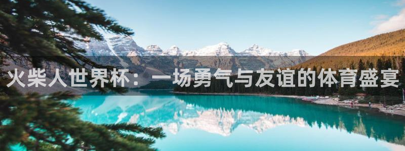 欧洲世界杯预选赛:火柴人世界杯:一场勇气与友谊的体育盛宴