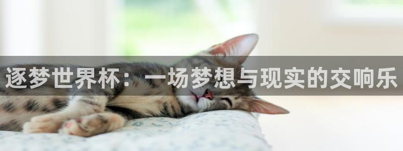 世界杯2026预选赛:逐梦世界杯:一场梦想与现实的交响乐