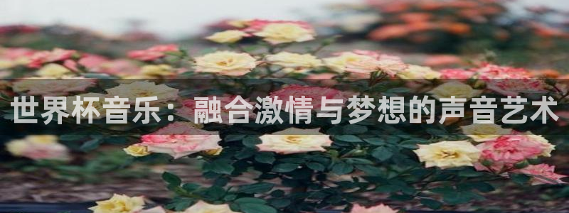2026世界杯官网入口:世界杯音乐:融合激情与梦想的声音艺术