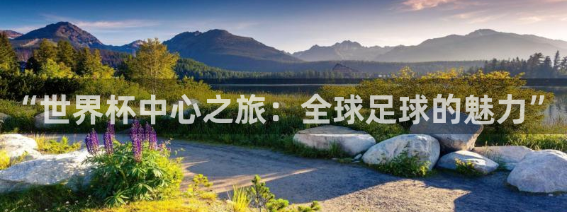 世预赛赛程表:“世界杯中心之旅:全球足球的魅力”