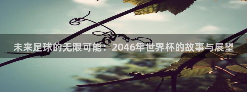 世界杯48支球队赛制:未来足球的无限可能:2046年世界杯的故事与展望