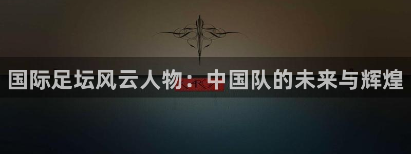 足球世预赛:国际足坛风云人物:中国队的未来与辉煌