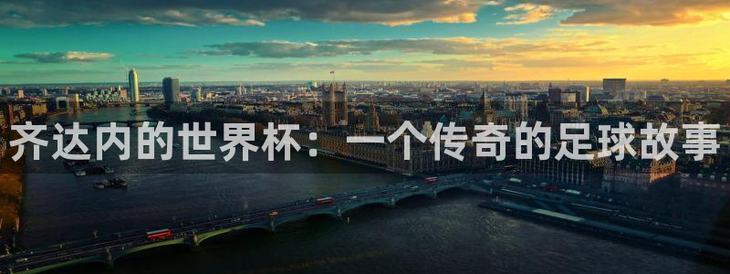 中国 世界杯:齐达内的世界杯:一个传奇的足球故事