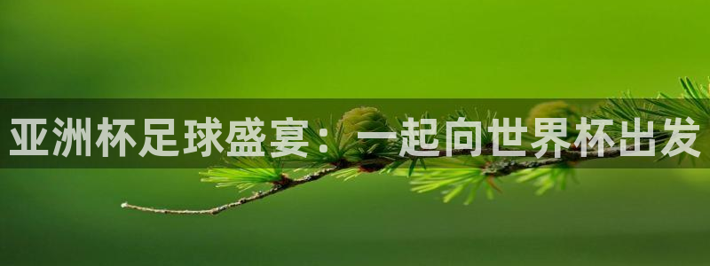足球比分直播世界杯:亚洲杯足球盛宴:一起向世界杯出发